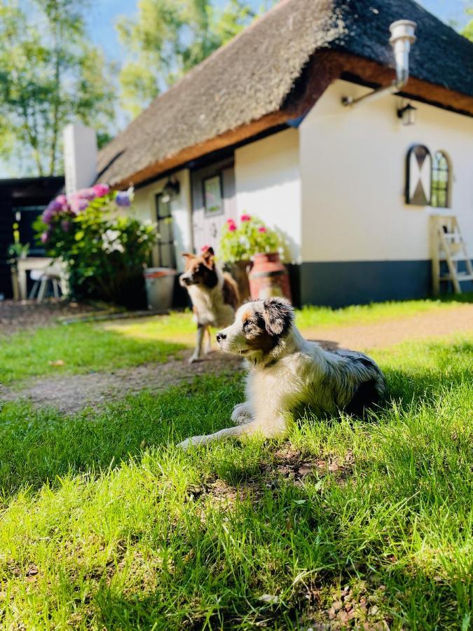 Bakhuisje Op De Veluwe Heerde Exteriör bild